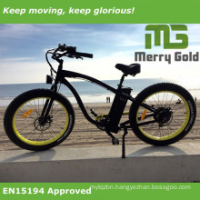 Green Power Fat Cruiser Electric Bike with Ce Approved